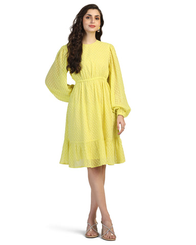 Women Jacquard Georgette Woven Fit & Flared Mini Dress