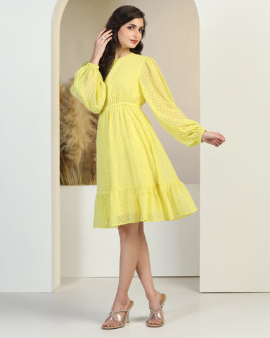 Women Jacquard Georgette Woven Fit & Flared Mini Dress