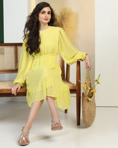 Women Jacquard Georgette Woven Fit & Flared Mini Dress