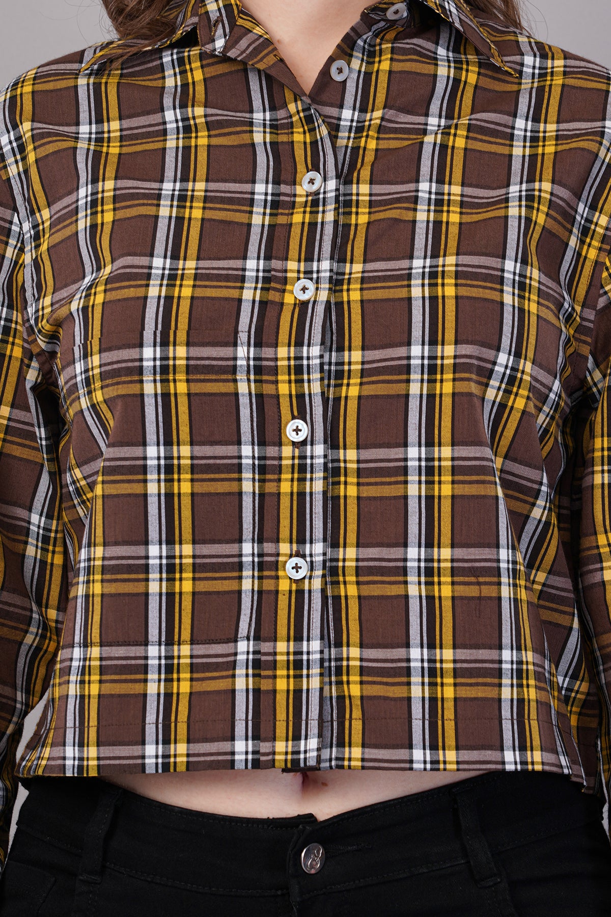 Women Checked Regular Fit Shirt
